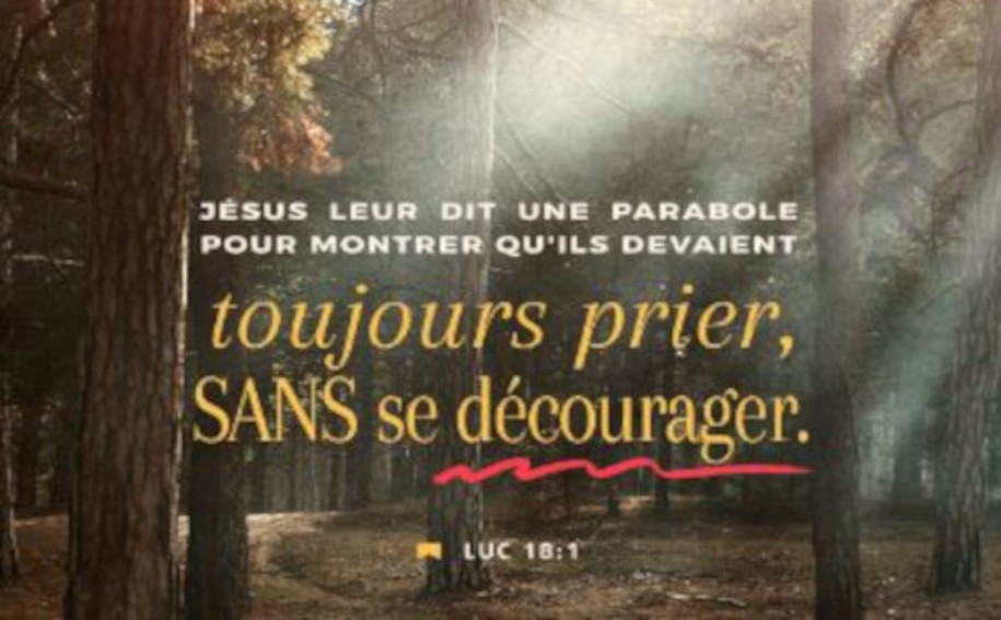 UNE PERSÉVÉRANCE INFATIGABLE