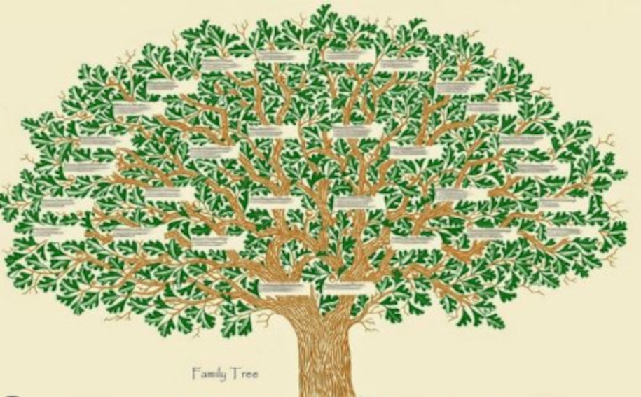 LA GÉNÉALOGIE DE JÉSUS-CHRIST