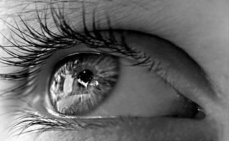 J’AI VU, J’AI CONVOITÉ ET J’AI PRIS